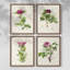 «Antique Floral Bouquet I», 4 pièces sur papier-1856871027-1856871030