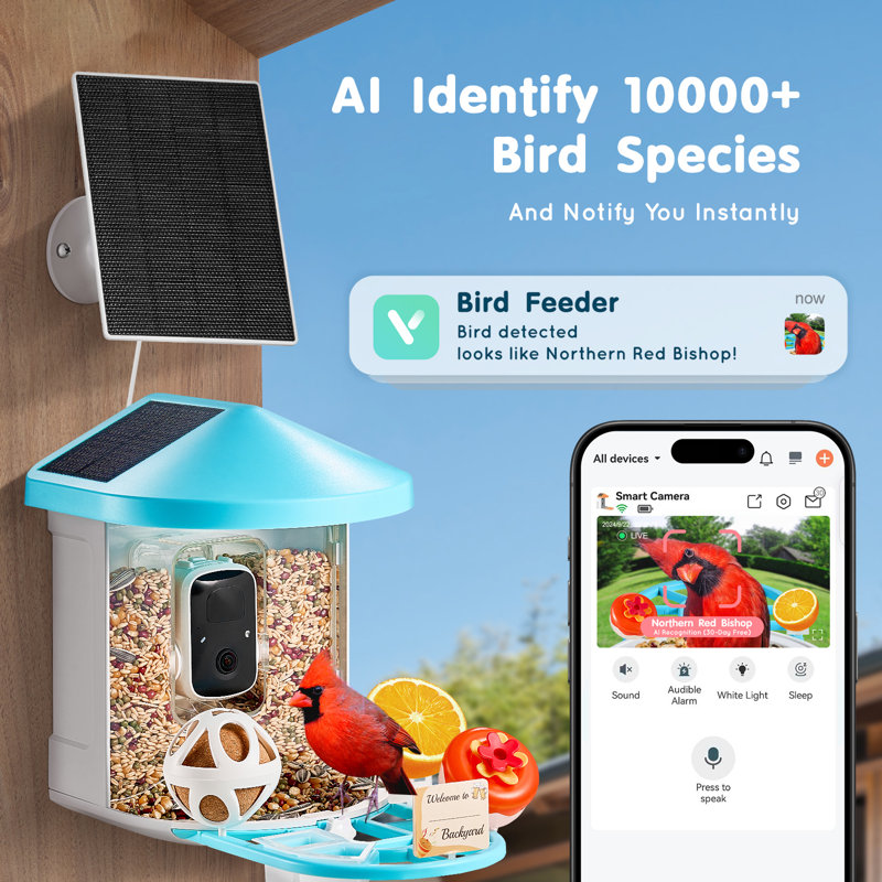 Mangeoire à oiseaux intelligente avec caméra, IA 2K HD identifiant plus de 10 000 espèces d'oiseaux, cadeau d'extérieur sans fil pour les amoureux des oiseaux (3 panneaux solaires), caméra d'observation des oiseaux à énergie solaire avec capture automatique et notification instantanée