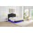 Upholstered Bed-2079124730