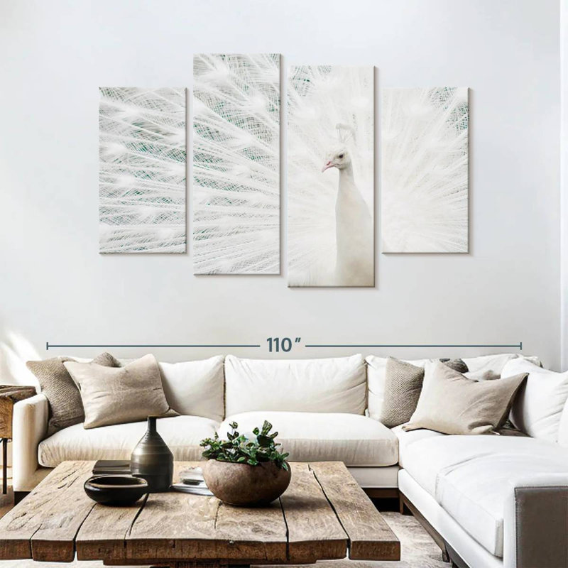 Plume de paon blanc neige Brampt, H 54 po x l 84 po