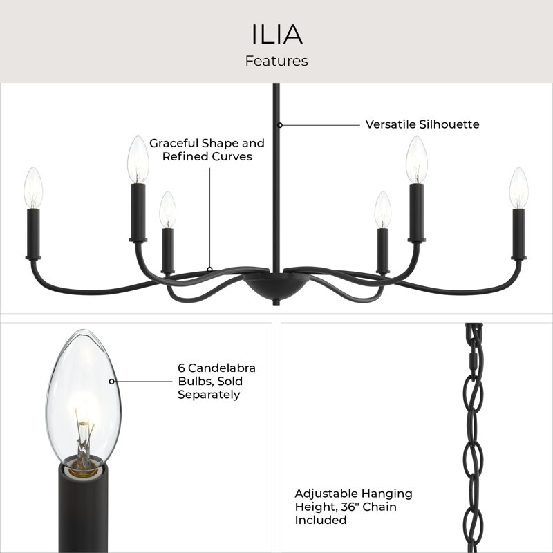 Ilia 6-Light Matte Black Large Chandelier, Matte Black