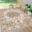 Oriental 120cm X 180cm Area Rug