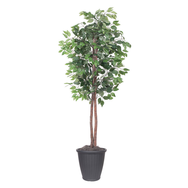 72'' Faux Tree in Pot, Gray