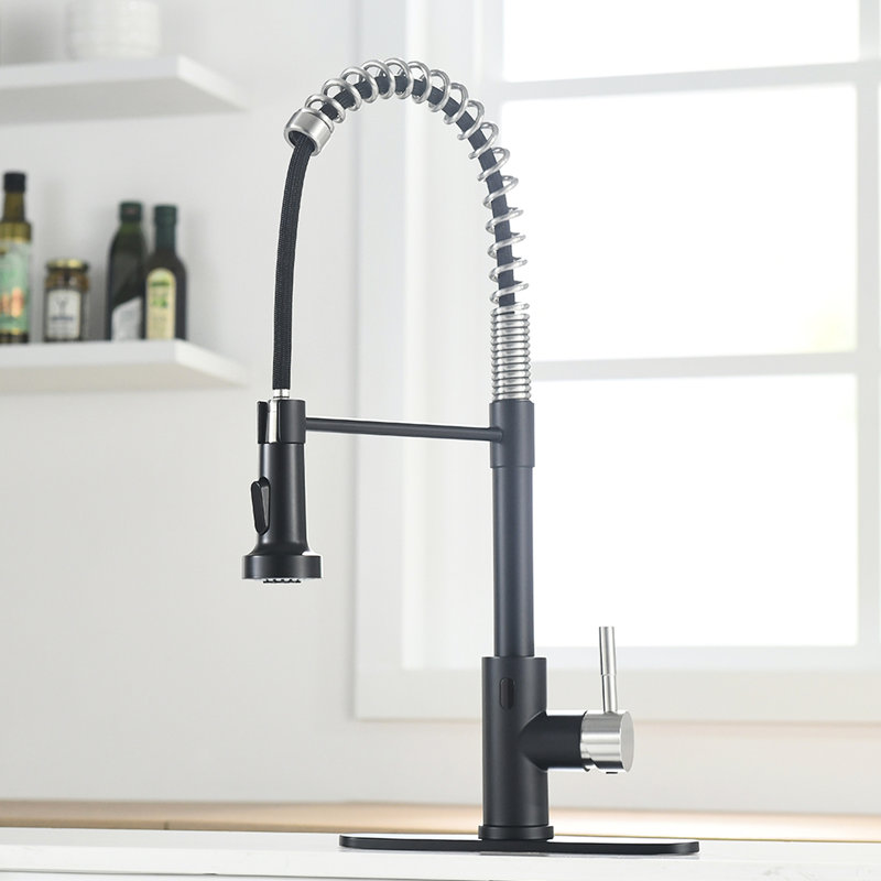 Robinet de cuisine Touchless