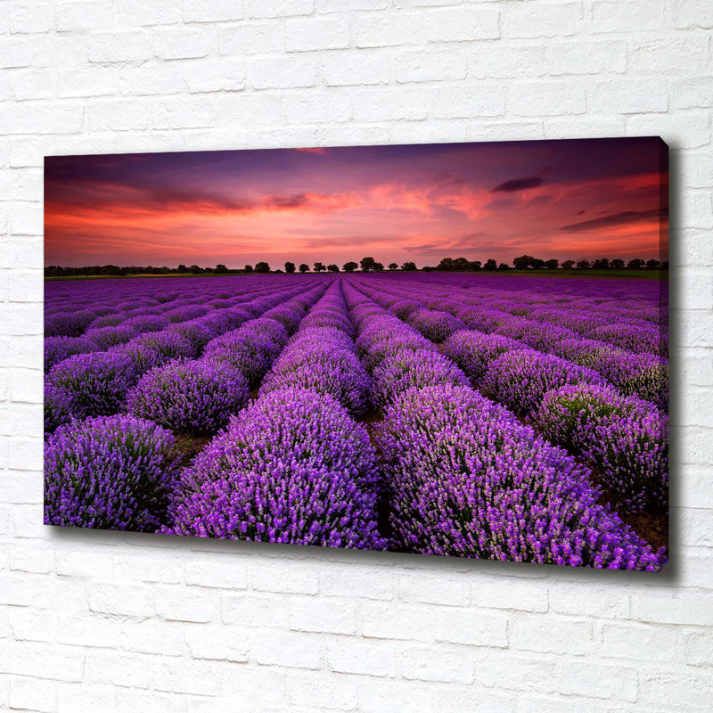 Lavender Fields Landscape - Wrapped Canvas Print, 70 cm H x 100 cm W, Canvas