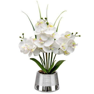 Arrangement in Vase