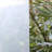 Greenhouse Film Shade Cover-63619571
