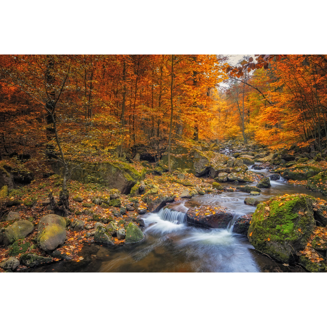 Stream In Foggy Forest von DieterMeyrl - No Frame Set auf Leinwand