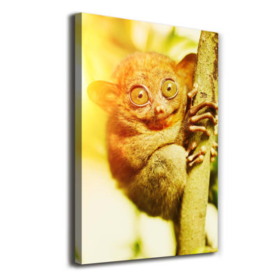 Spooky - Wrapped Canvas Print