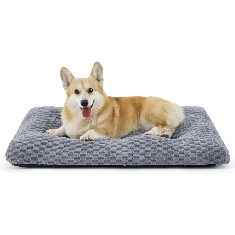 Pet Bed