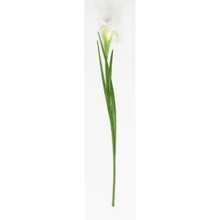 25" Artificial Iris Flower Spray (Set of 6)