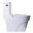 Elongated Toilet Seat