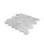 Zebra Hexagonal Tile-51969253