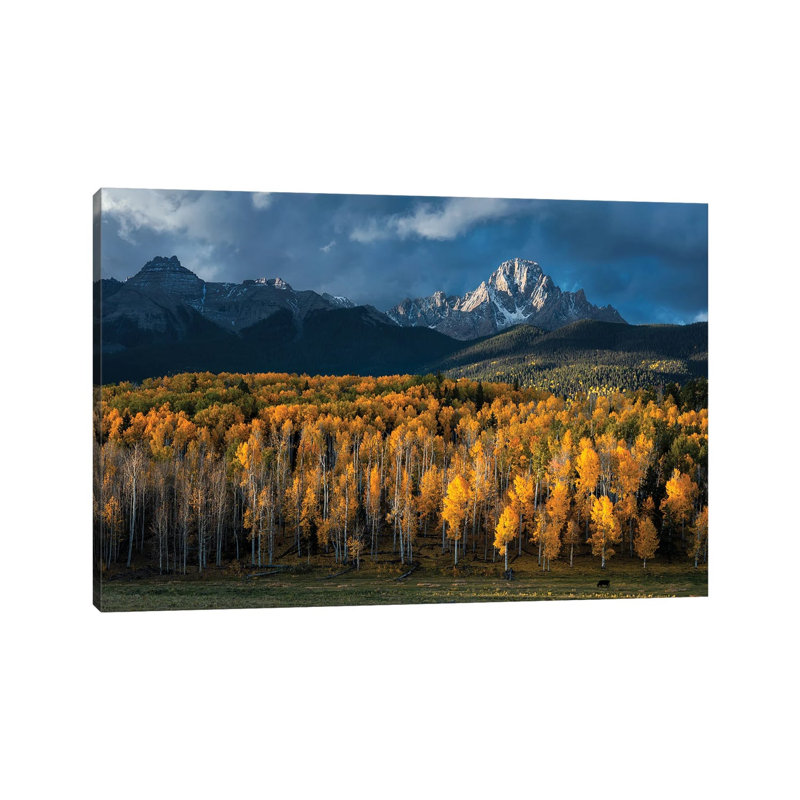 Mt Sneffels In Autumn by Mei Xu - Wrapped Canvas Print, 66.04 cm H x 45.72 cm W