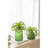 Fairborn Table Vase-89449083