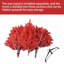 Arbre de Noël rouge 6 pi - Arbre en PVC rouge pur avec 804 pointes, branches articulées pour une installation facile, support en métal stable, décoration audacieuse des Fêtes-1451115080