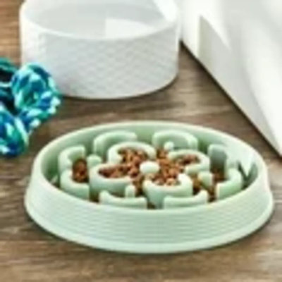 Slow Chow Dog Bowl, Green Medallion