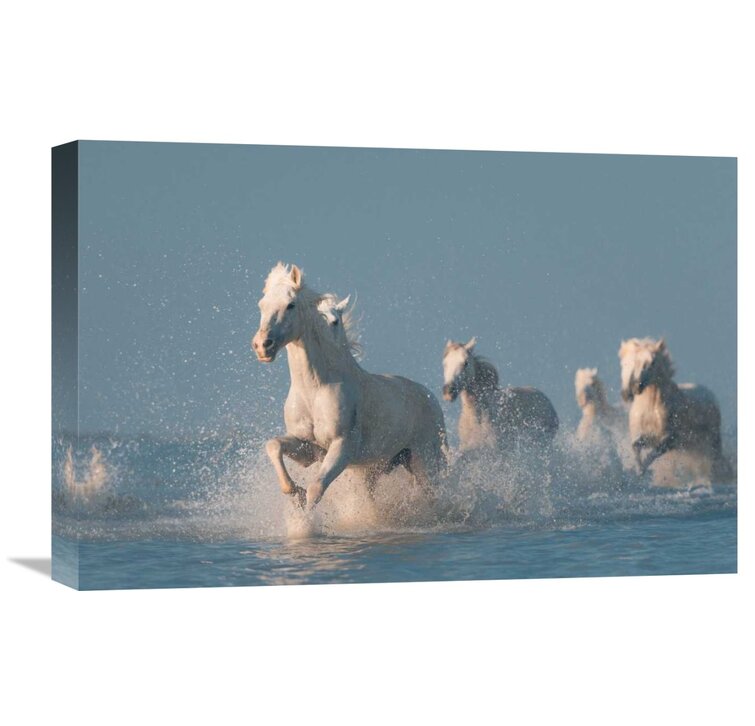 14.7" H x 22" W x 1.5" D Angels Of Camargue On Canvas by Rostov.Foto