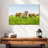 Farm Cattle-107924076