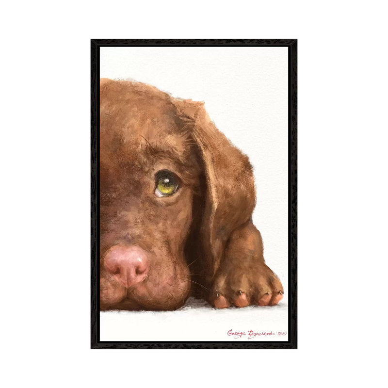 Chocolate Labrador Puppy by George Dyachenko - Painting on Canvas, Black Framed, 66.04cm H x 45.72cm W x 3.81cm D