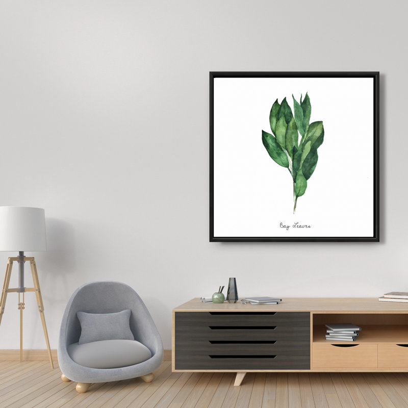 " Bay Leaves Bundle -en "