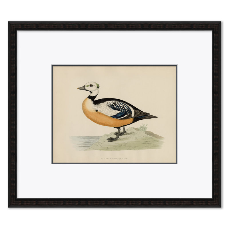 Duck Series Giclee Print by Paul Cezanne