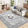 Washable Oriental Indoor Rug