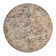 Mosely Oriental Indoor Rug