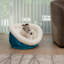 Tasse pour chien Tucker Murphy Pet ™-437913268-429694444