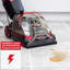 Rug Doctor Bagless Carpet Cleaner