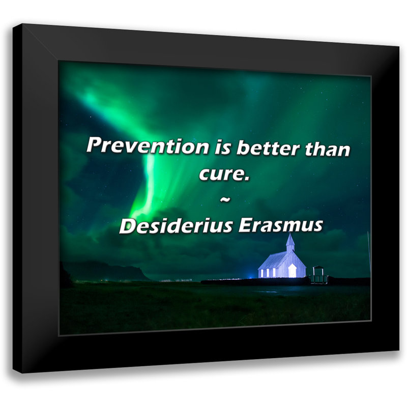Desiderius Erasmus Quote: Prevention is better than cure.