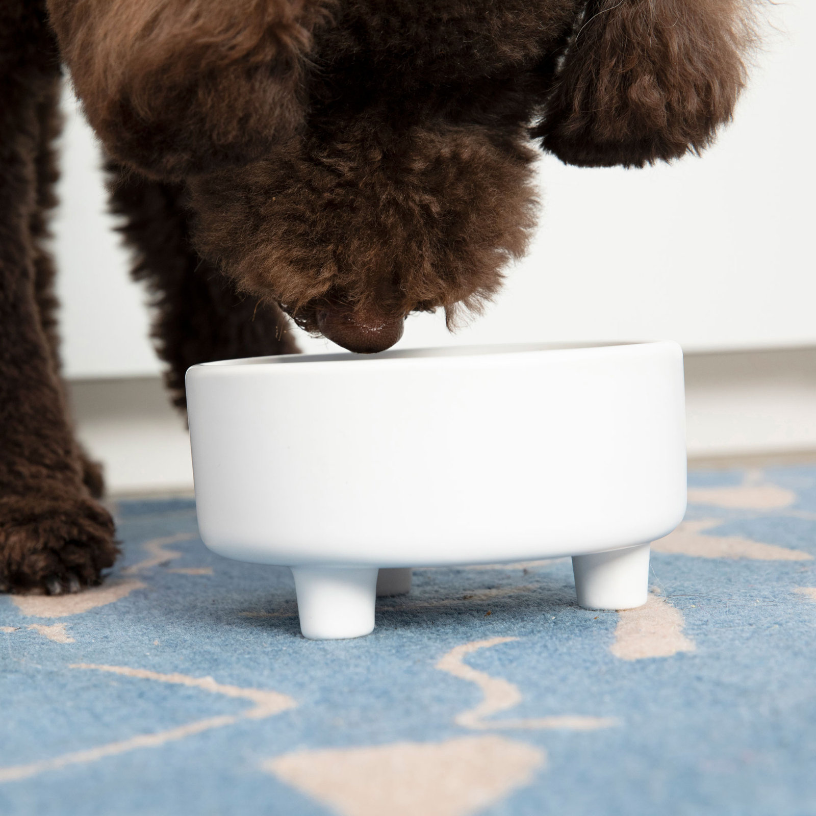 Uplift Ceramic Dog Bowl, White, Small (2 cups / 16 fluid oz)