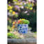 Jardinière en terre cuite, bleu blanc vieilli