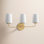 Fitz 3 Light Frosted Dimmable Vanity Light