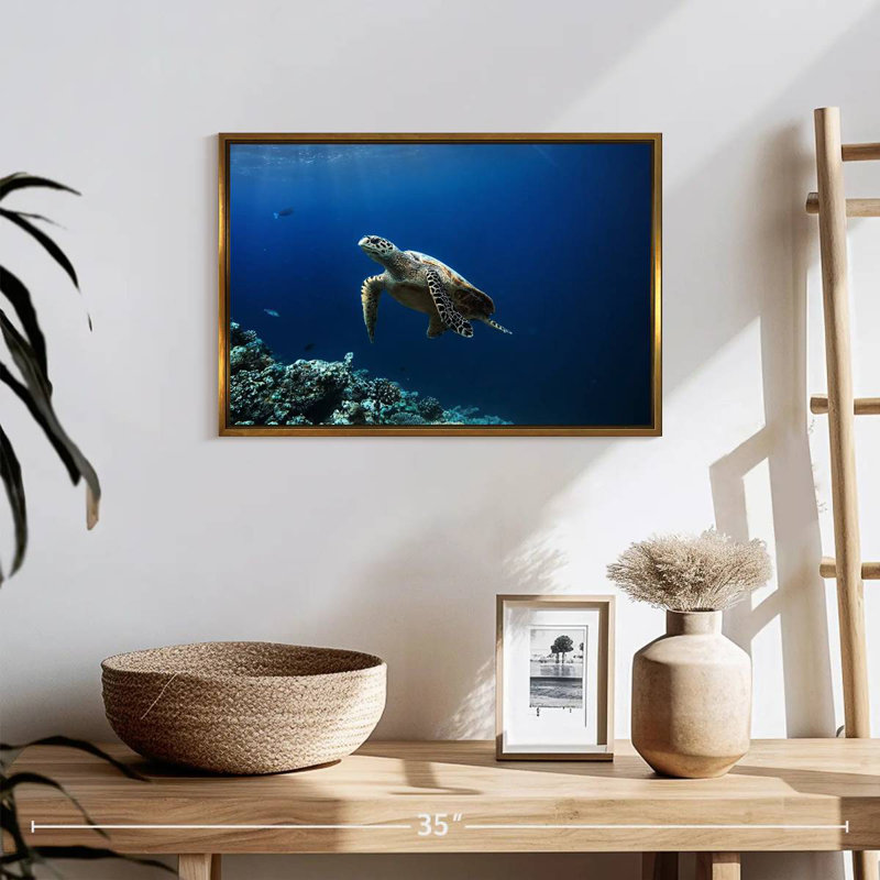 Tortue aventure, 19 po x 13 po, Cadre flottant doré
