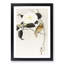 Songbird & Flowering Camellia by Ohara Koson - Picture Frame Painting Print-55618606-55618605