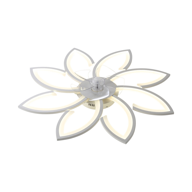 Ceiling Fan with LED Lights