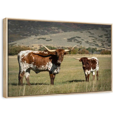 Texas Longhorn And Its Calf