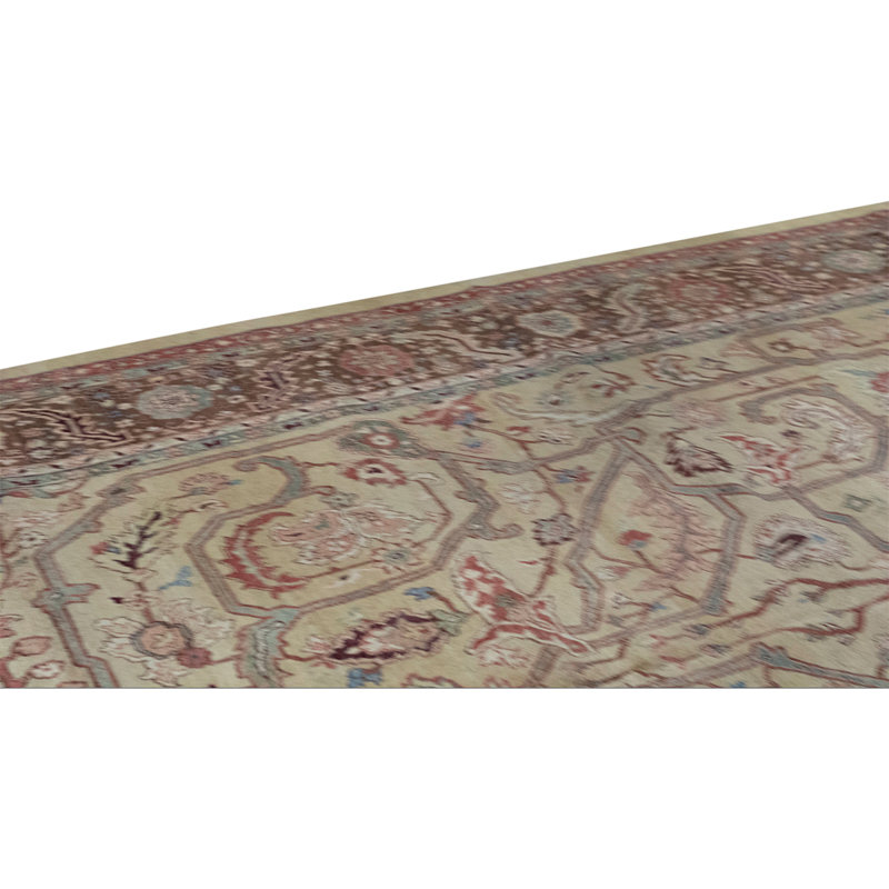 Wool Oriental Area Rug in Beige/Taupe