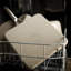 Calphalon  Premier Ceramic Nonstick 11" Square Griddle, Mushroom Gray