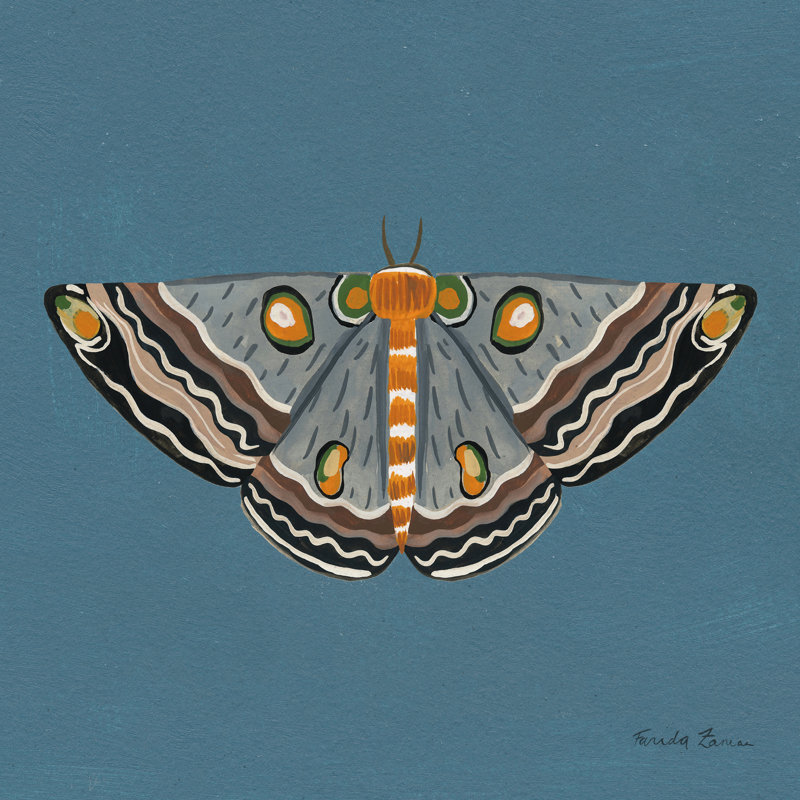 Papillon de nuit sur toile, H 20 po x l 20 po x P 1,25 po