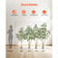 Faux Olive Tree Tree in Pot-435290237