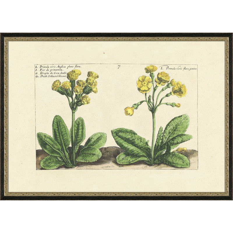Primula Veris Painting