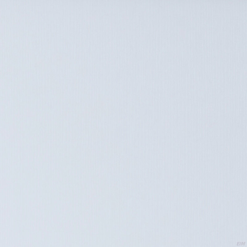 Armoire à chaussures / rangement avec deux portes et cinq tablettes - blanc (armoire)