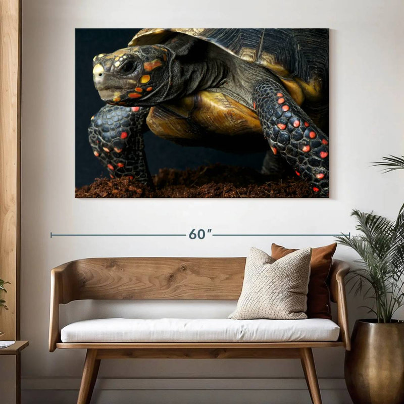 Tortue à pieds rouges, H 34 po x l 51 po