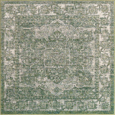 Mekalah Oriental Indoor Rug