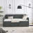 Daybed With Trundle, Upholstered Tufted Sofa Bed-19538692