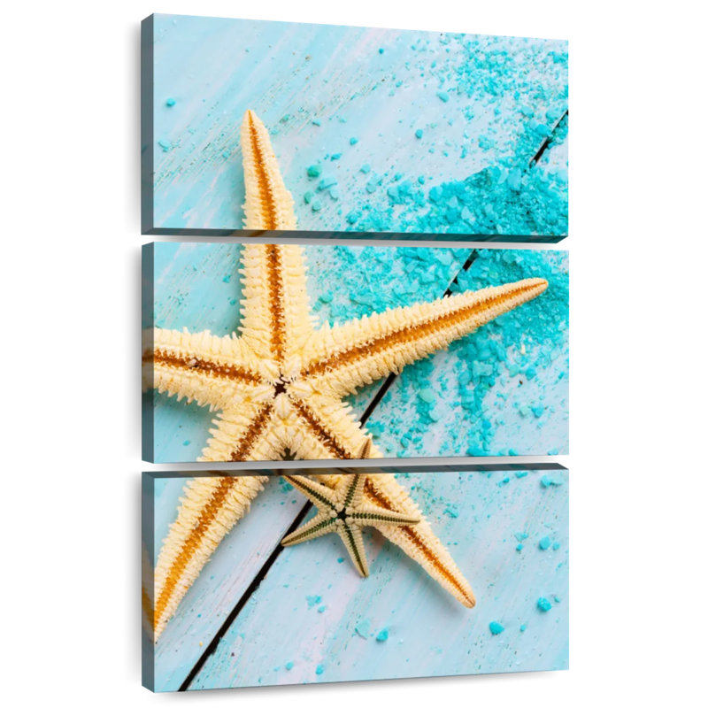 Starfish pair Aletra, H 38 po x l 24 po