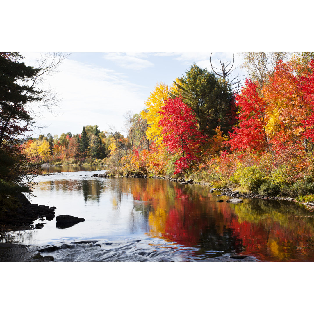 Herbst in Ontario von Gladassfanny - Wrapped Canvas Set