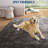 Modern Abstract Area Rug, Washable Rugs for Living Room, Non Slip & Stain Resistant Ombre Print Accent Carpet, Low Pile Home Decor Floor Decoration Mat-1337440136-1339440413